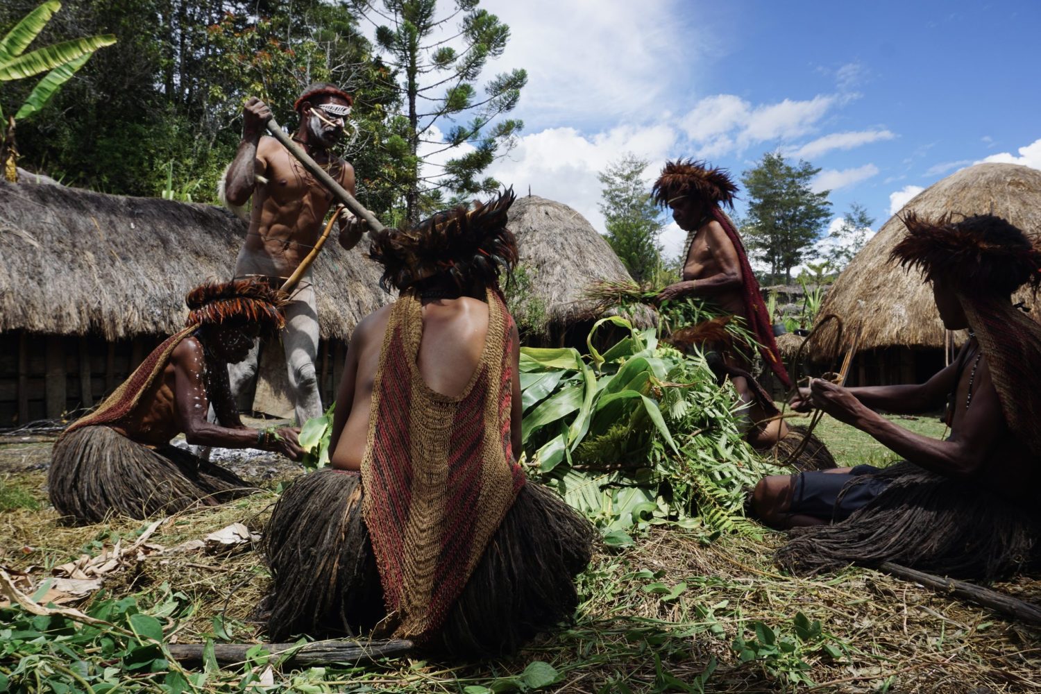 Exploring the Uncharted Beauty: Papua, New Guinea Island